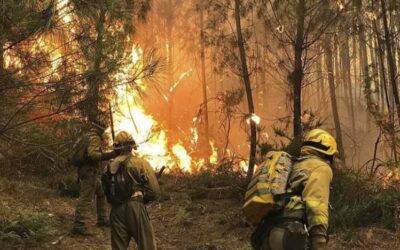 JUMA presta su apoyo en el gran incendio de Sierra Bermeja
